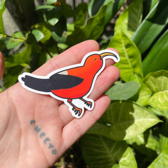 ’I’iwi Bird - Hawaii Bird, Sticker
