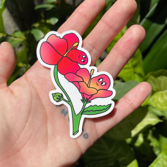 Lovely Hibiscus - Hawaii Flower