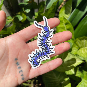 Centipede - Sticker, Bug