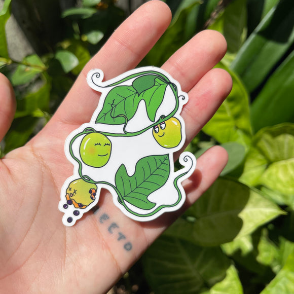 Lilikoi In Love - Cute Plant, Hawaii, Passion Fruit