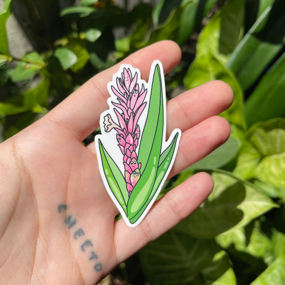 Ginger Flower - Hawaii Flora, Sticker