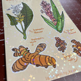 Turmeric & Ginger - Sticker Sheet, Holographic, Hawaii Plants, Kawaii Art