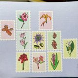 Garden Isle Botanicals - Stamp Washi, Masking Tape, Hawaii Plants, Kauai Flora