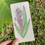 Hawaii Ginger Bookmark - Holographic, Cute, Down to Earth, Double Sided